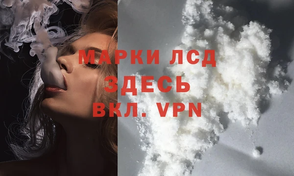 прущие грибы Ростов