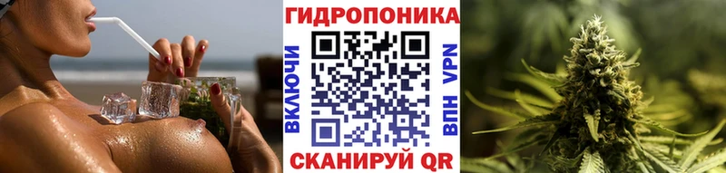 Канабис White Widow  даркнет сайт  маркетплейс официальный сайт  Плавск 